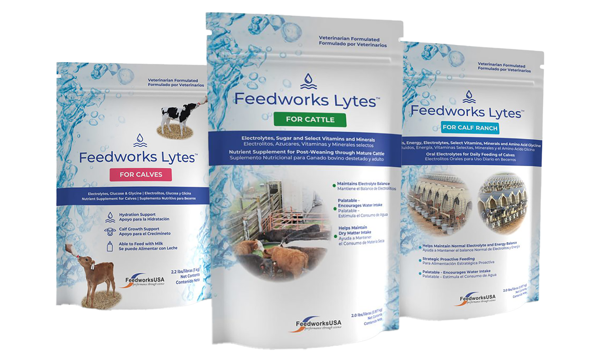 Feedworks Lytes