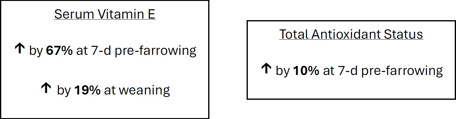 sow-info-boxes