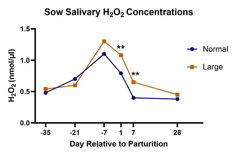 sow-salivary-chart-1