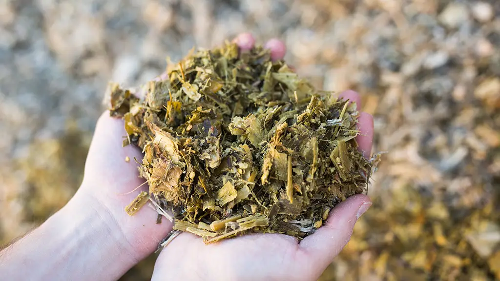 Mycotoxin Testing Mycotoxin Testing